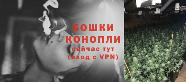трава Гусь-Хрустальный