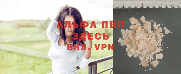 крисы Гусев