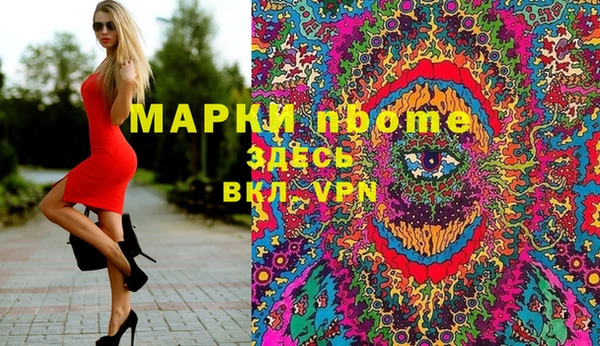 крисы Гусев