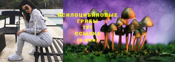трава Гусь-Хрустальный