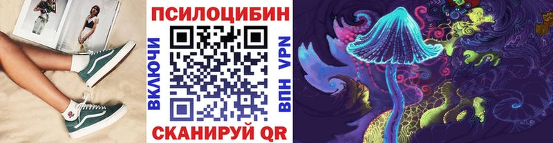 Галлюциногенные грибы Cubensis  Купить где  Заозёрск 